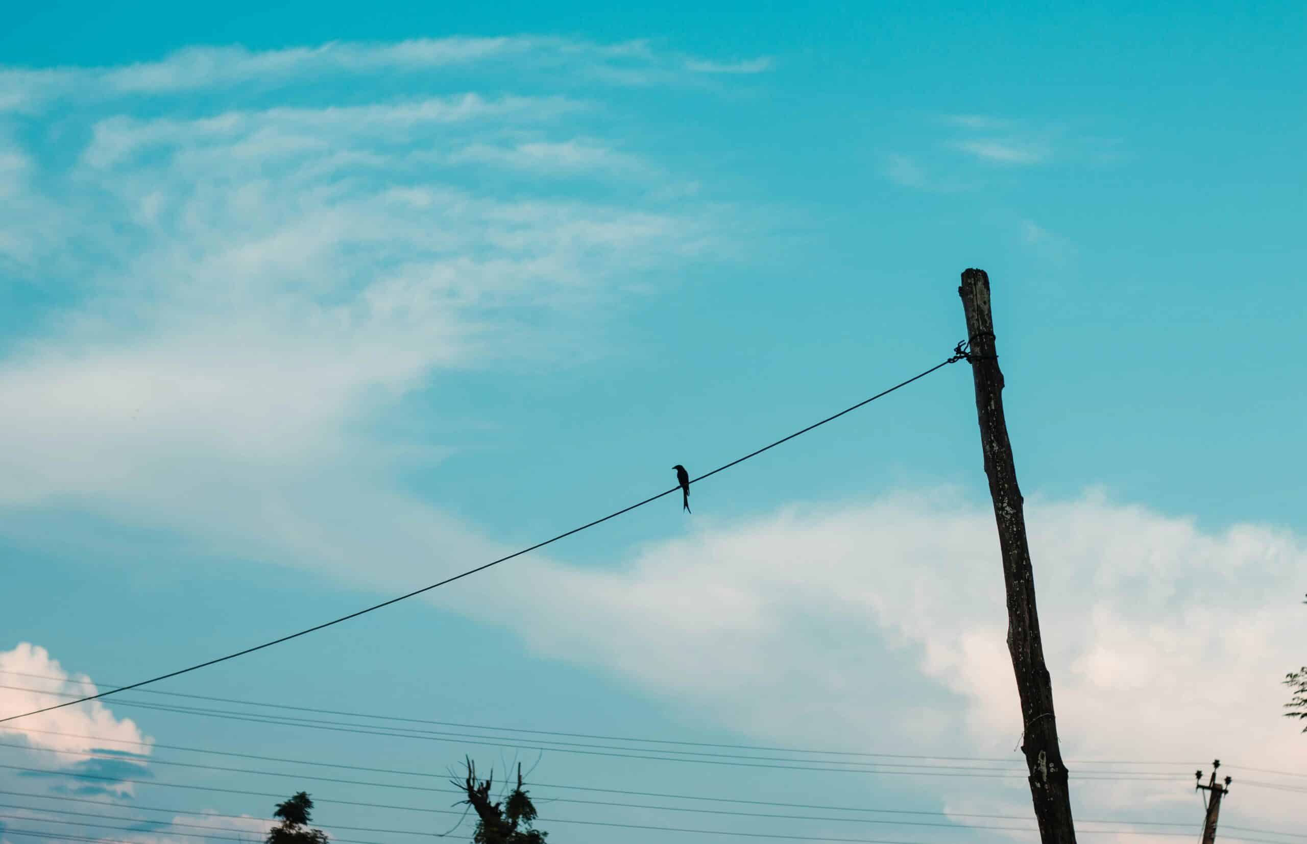 Pexels Prabinbasnet 12863732